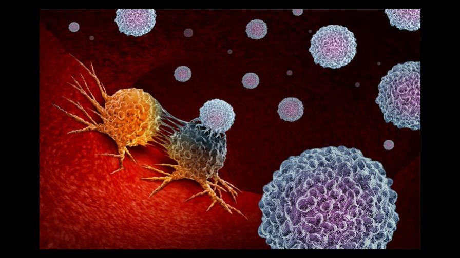 Identifican proteína que impide que inmunoterapia contra el cáncer funcione