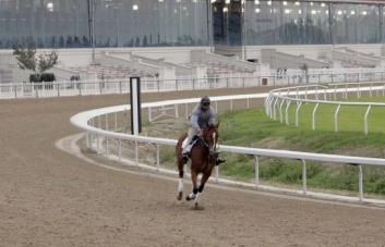 Corte bloquea ley relacionada con carreras de caballos en los Estados Unidos
