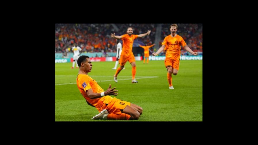 Holanda anestesia en la agonía a Senegal