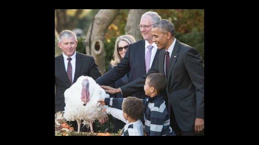 Presidentes de EEUU que han perdonado pavos por el Día de Acción de Gracias Presidentes de EEUU que han perdonado pavos por el Día de Acción de Gracias