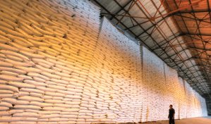 Central Romana tiene el 62.84 % de la cuota de az&uacute;car de RD a Estados Unidos