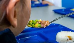 Presentarán ante el Congreso Nacional anteproyecto de ley sobre alimentación escolar