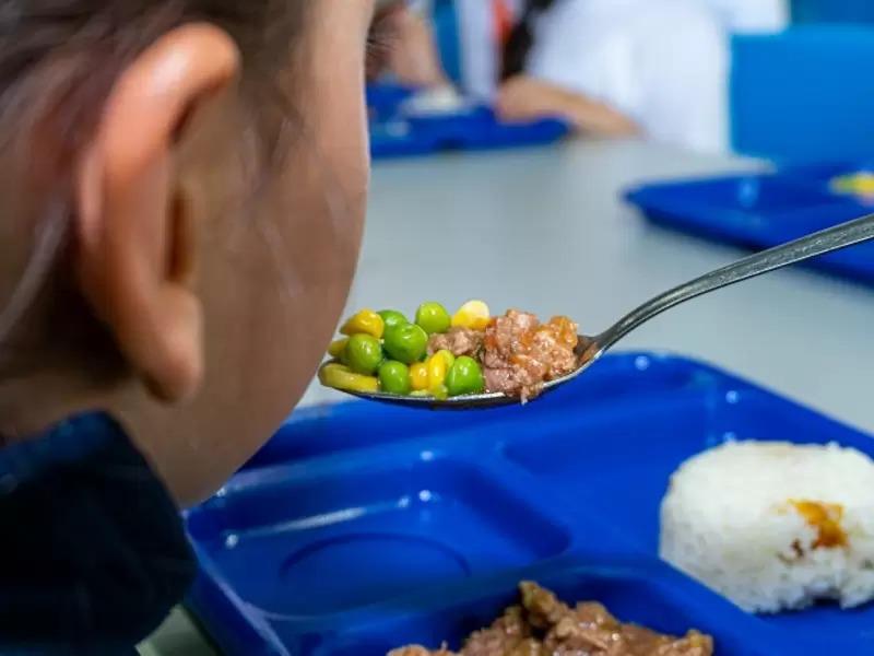 Presentarán ante el Congreso Nacional anteproyecto de ley sobre alimentación escolar