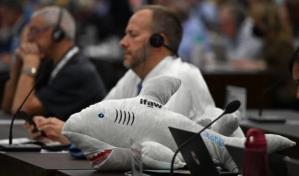 La lucha contra el tráfico de especies salvajes debe pasar por el comercio en línea