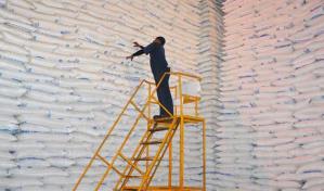 CNTD advierte más de 30 mil empleos peligran en Central Romana por suspensión cuota azucarera