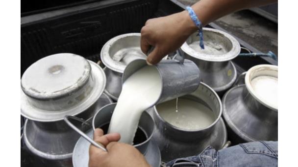Industria de productos lácteos genera más de 4,300 empleos formales en República Dominicana