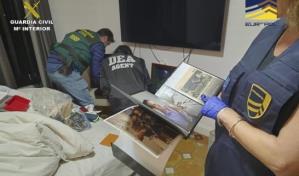 Desmantelan en España un supercártel de cocaína dirigido desde Dubái