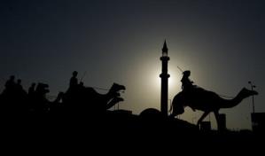 Hasta los camellos trabajan horas extra en el Mundial de Qatar 2022