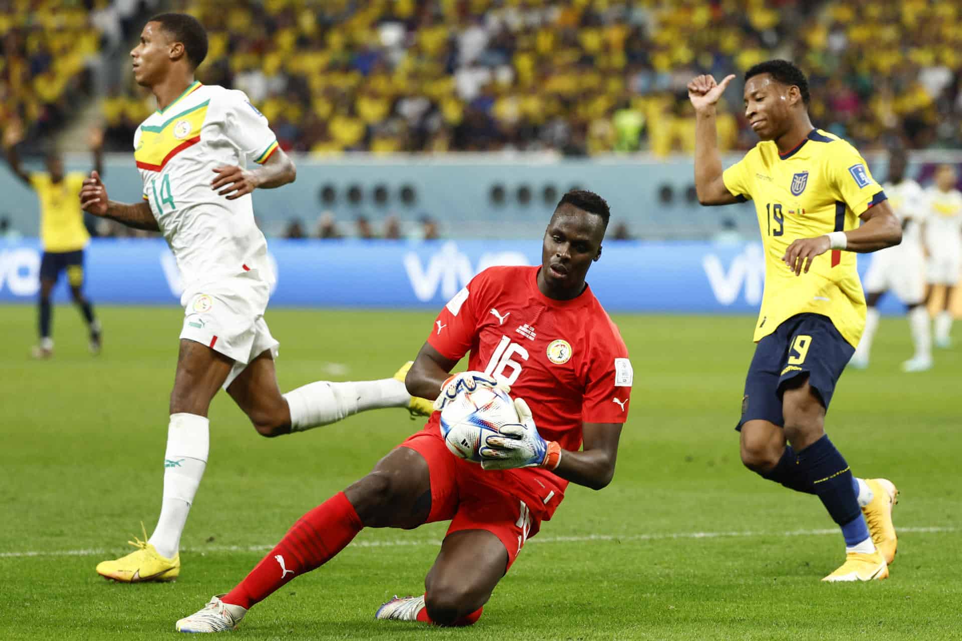 Gonzalo Plata (d) de Ecuador disputa un balón con Pathe Ciss (c) de Senegal hoy, en un partido de la fase de grupos del Mundial de Fútbol Qatar 2022 entre Ecuador y Senegal en el estadio Internacional Jalifa en Doha (Catar).