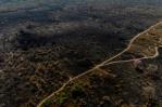 Incendios en Amazonía brasileña se disparan en noviembre doblando los de 2021
