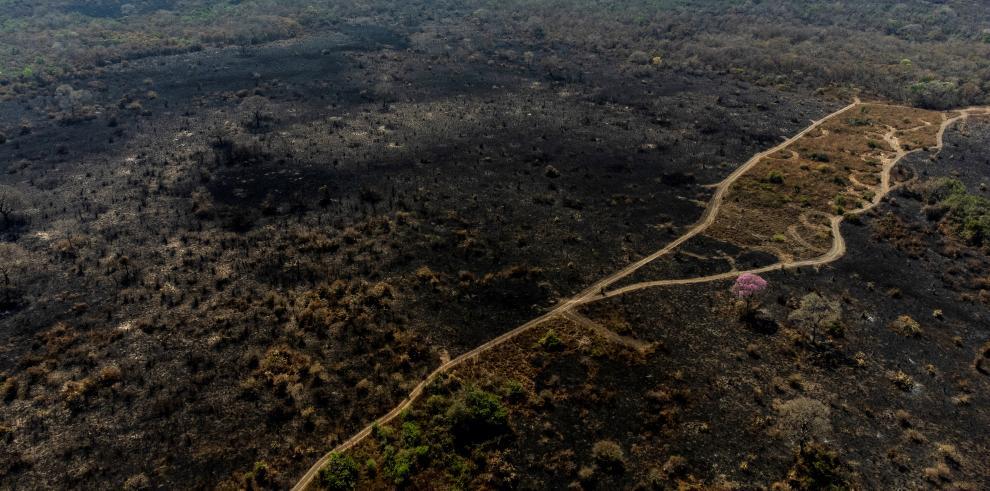 Incendios en Amazonía brasileña se disparan en noviembre doblando los de 2021