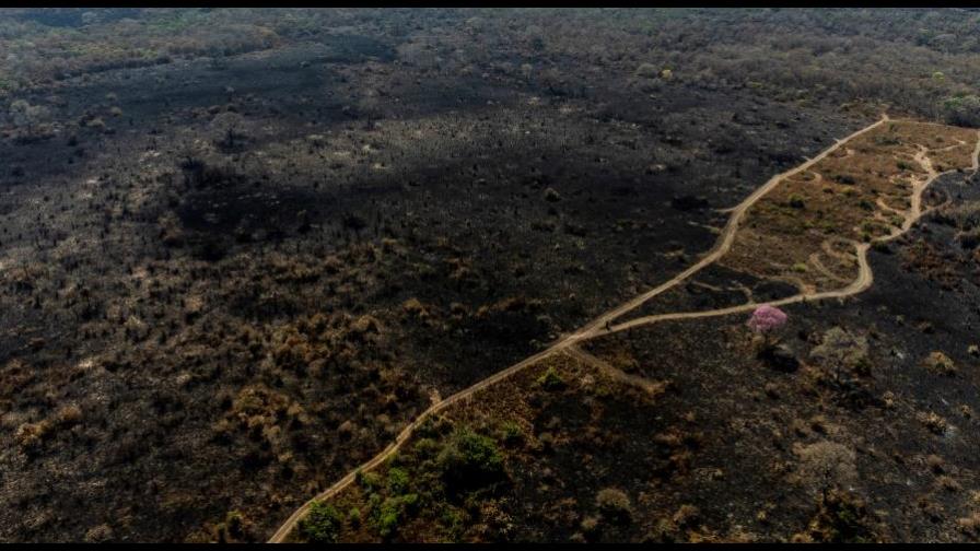 Incendios en Amazonía brasileña se disparan en noviembre doblando los de 2021