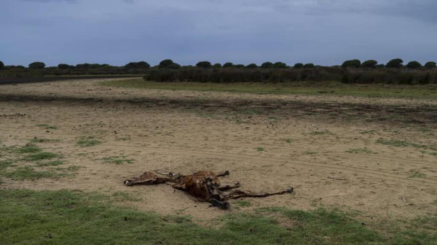 España usará 350 millones de euros en humedales de Doñana