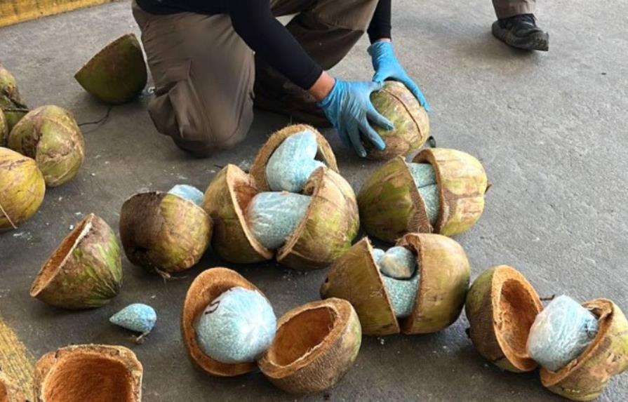 México: decomisan pastillas de fentanilo ocultas en cocos