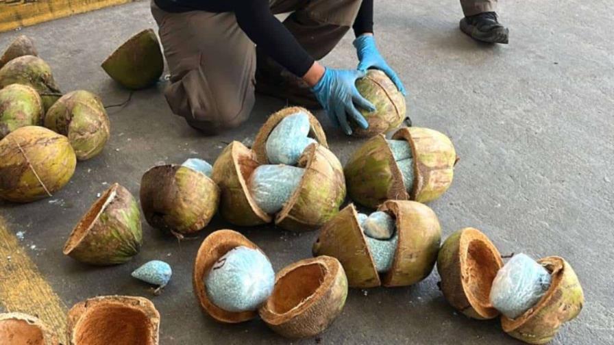 México: decomisan pastillas de fentanilo ocultas en cocos