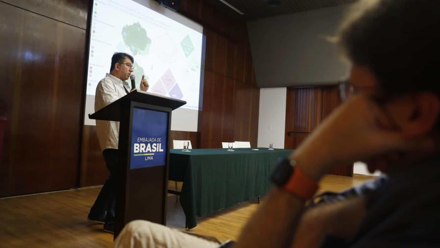Amazonía perdió 9,7 % de su vegetación en los últimos 37 años, según análisis Amazonía perdió 9,7 % de su vegetación en los últimos 37 años, según análisis