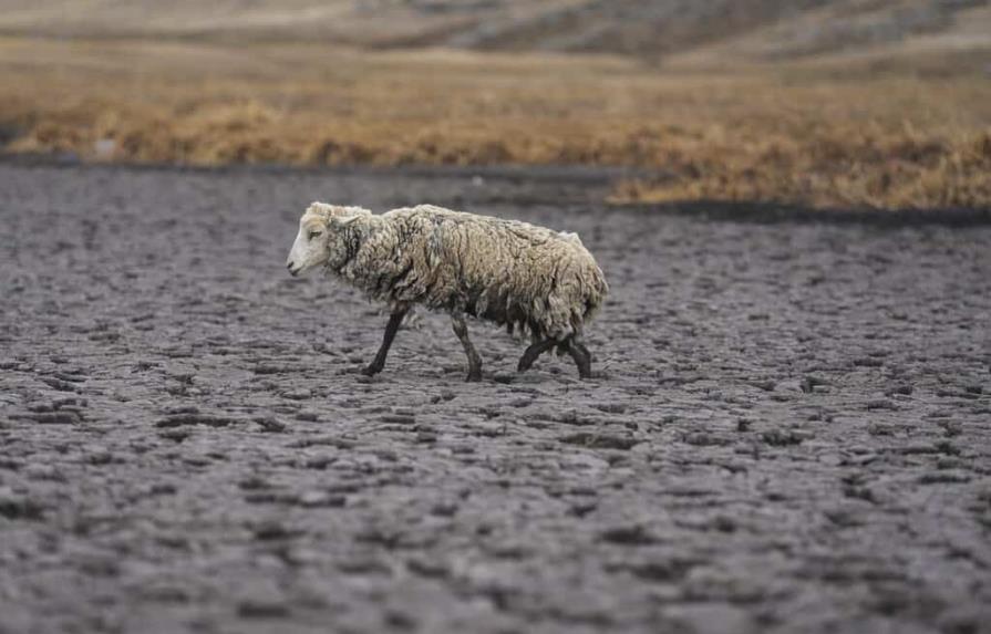Desaparece laguna por peor sequía reciente en los Andes de Perú