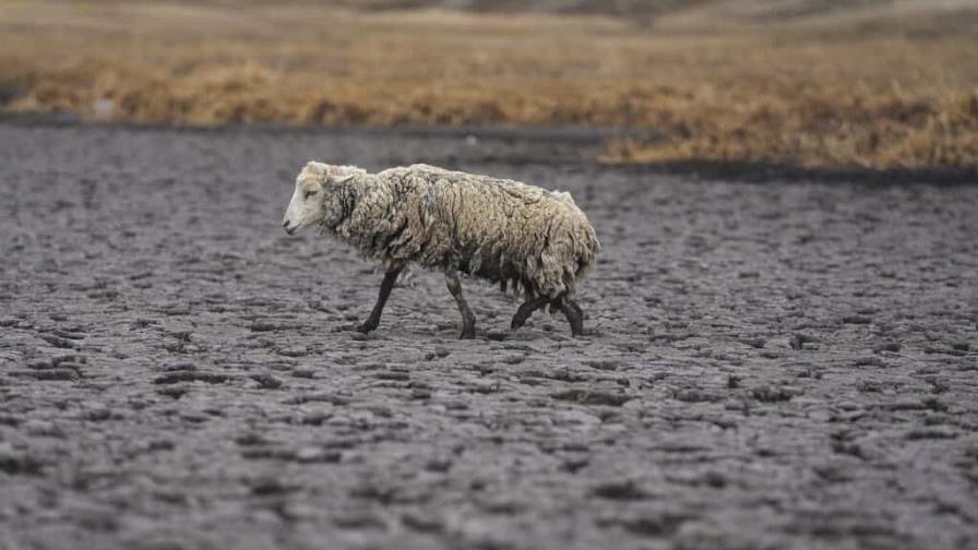 Desaparece laguna por peor sequía reciente en los Andes de Perú Desaparece laguna por peor sequía reciente en los Andes de Perú