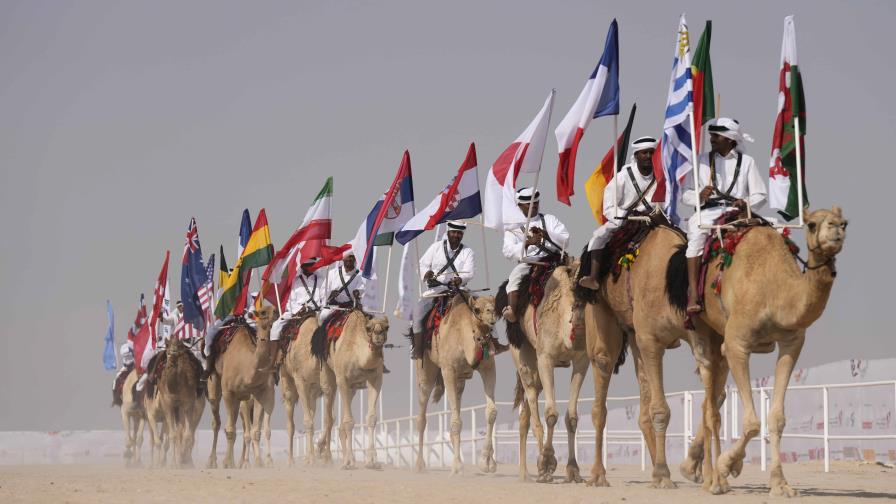 Concurso de camellos entre atracciones del Mundial de Qatar