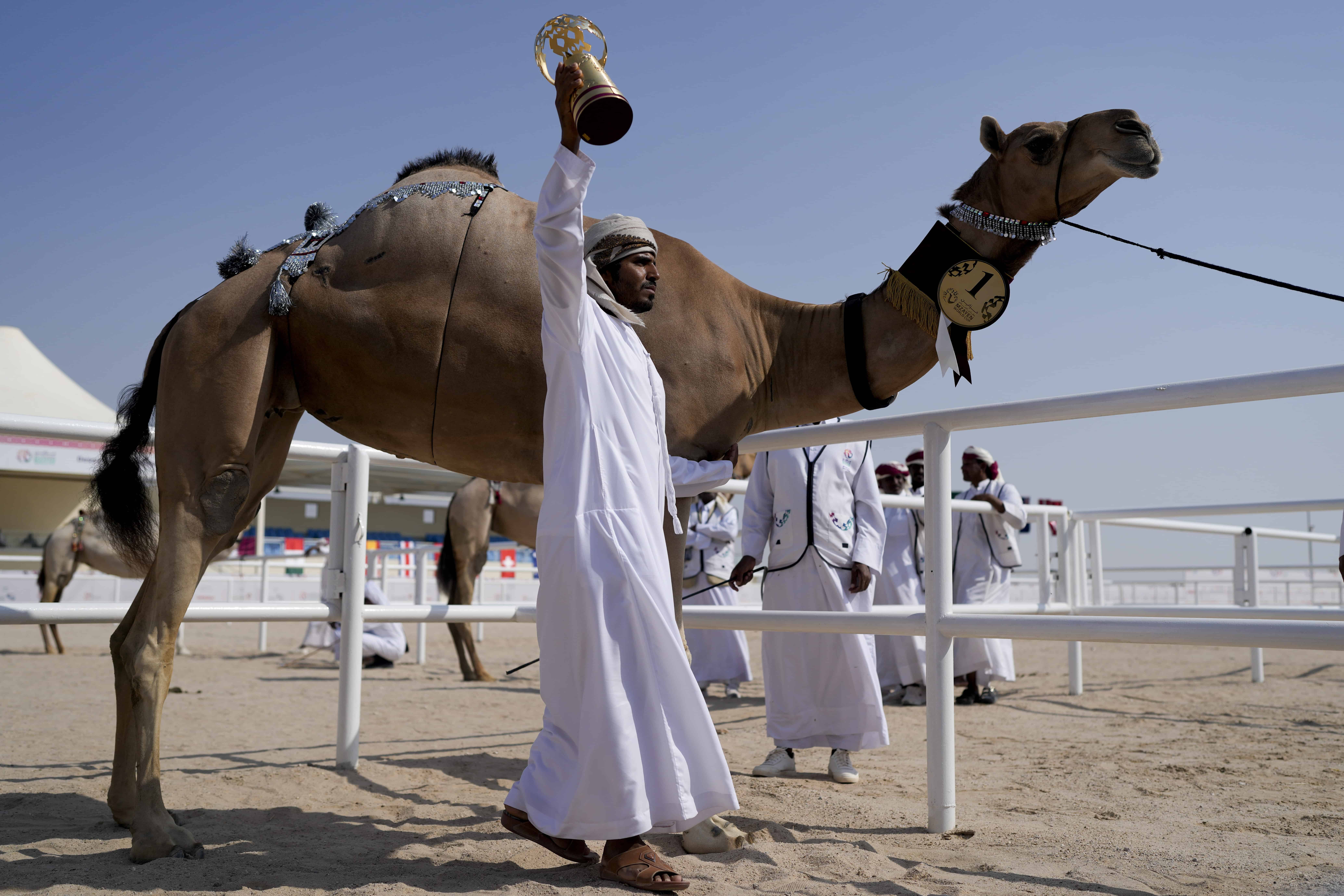 Un cuidador de camellos de la familia AlKuwari celebra tras ganar el primer premio de la Copa Mundial Mzayen, un concurso de camellos en el desierto de Qatar durante el Mundial de fútbol, en Ash- Shahaniyah, el viernes 2 de diciembre de 2022. 