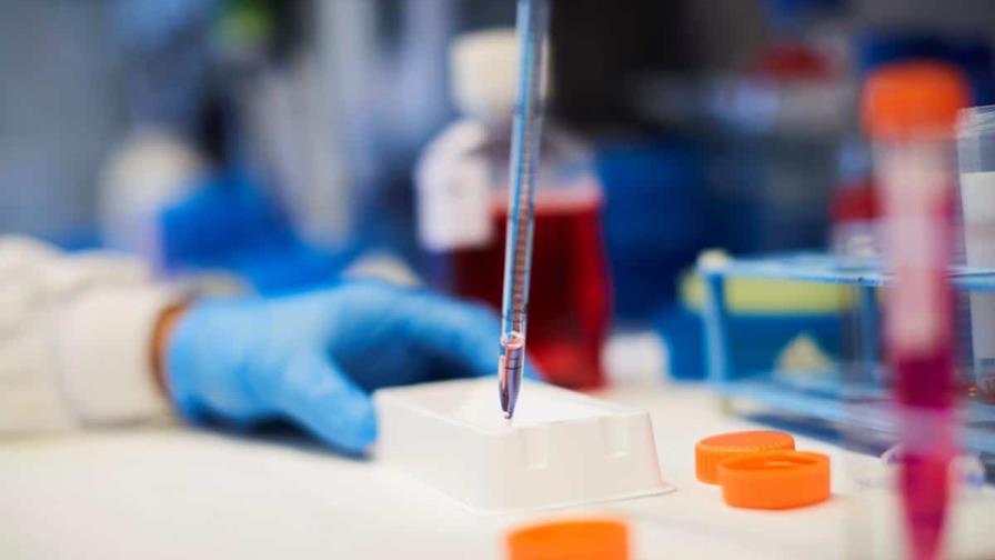 Ensayarán nueva molécula en personas down para mejorar rendimiento cognitivo Ensayarán nueva molécula en personas down para mejorar rendimiento cognitivo