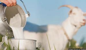 Ofrecerán financiamientos con tasa fija de un 6 % a productores de chivos y cabras 