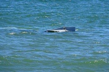 Hallan avioneta que cayó al mar en Florida con un menor fallecido dentro