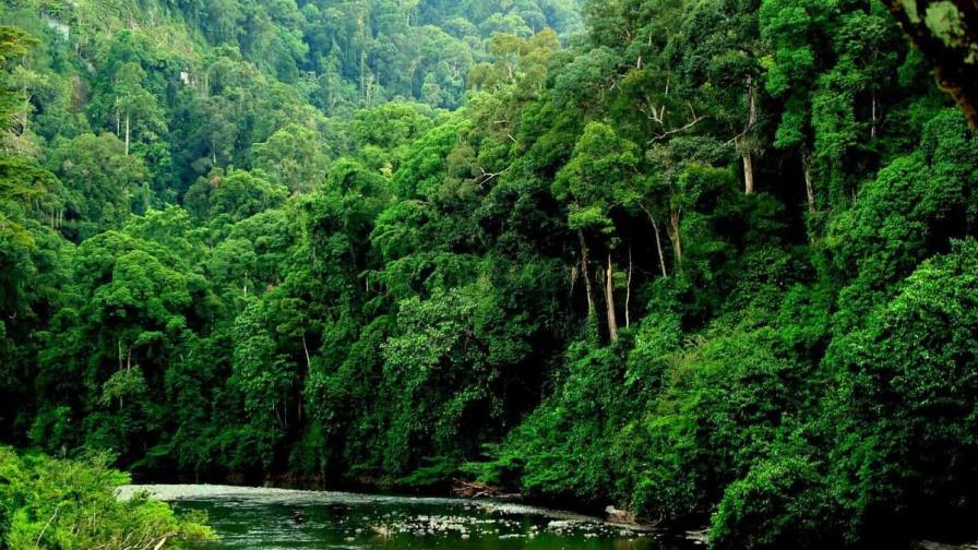 Más de la mitad del Producto Interior Bruto global depende de la naturaleza Más de la mitad del Producto Interior Bruto global depende de la naturaleza