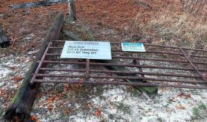 Carolina del Norte: Miles de personas sin luz tras apagones