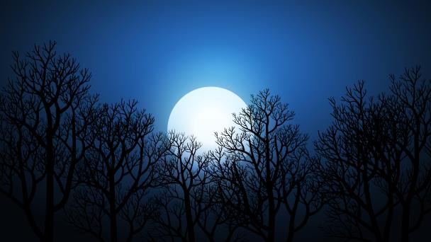 Luna fría: qué otros eventos astronómicos nos depara diciembre 2022