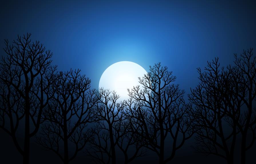 Luna fría: qué otros eventos astronómicos nos depara diciembre 2022
