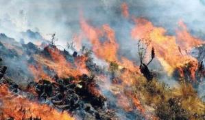 Incendio forestal deja al menos tres muertos y tres heridos en el sur de Perú