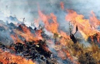 Incendio forestal deja al menos tres muertos y tres heridos en el sur de Perú
