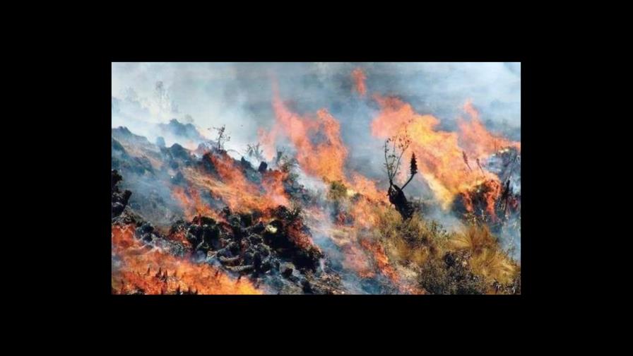 Incendio forestal deja al menos tres muertos y tres heridos en el sur de Perú