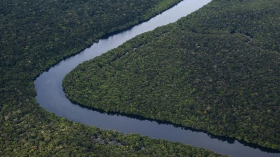 La Unión Europea prohíbe la importación de bienes procedentes de la deforestación La Unión Europea prohíbe la importación de bienes procedentes de la deforestación