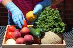 La inseguridad alimentaria crece un 60 % en Latinoamérica en siete años La inseguridad alimentaria crece un 60 % en Latinoamérica en siete años