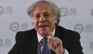 Secretario general de la OEA rechaza acciones de Castillo y llama al diálogo