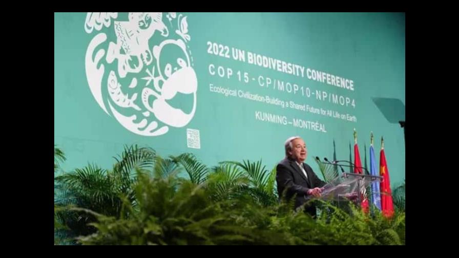 Guterres advierte que humanidad se ha convertido en un arma de extinción masiva de la naturaleza