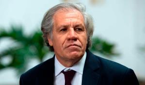 Secretario de la OEA viajará a Guatemala para supervisar proceso electoral