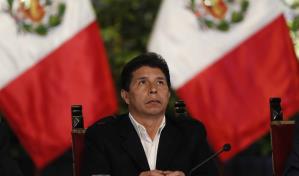 Alianza para el Desarrollo en Democracia aboga por salida crisis política en Perú