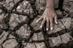 Comienza la COP15, la última oportunidad para salvar la naturaleza Comienza la COP15, la última oportunidad para salvar la naturaleza