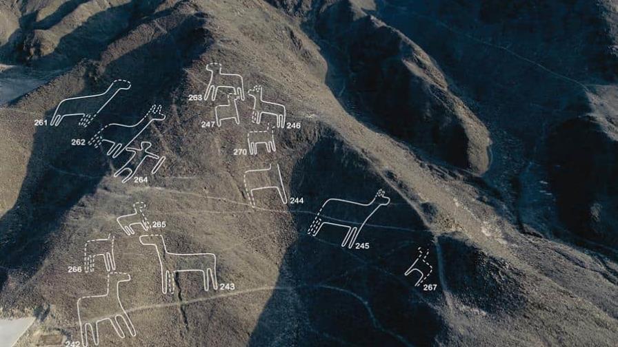 Investigadores japoneses descubren 168 nuevas figuras en Nazca