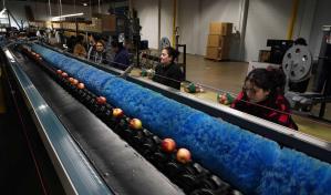 La ciencia al rescate contra el desperdicio de alimentos