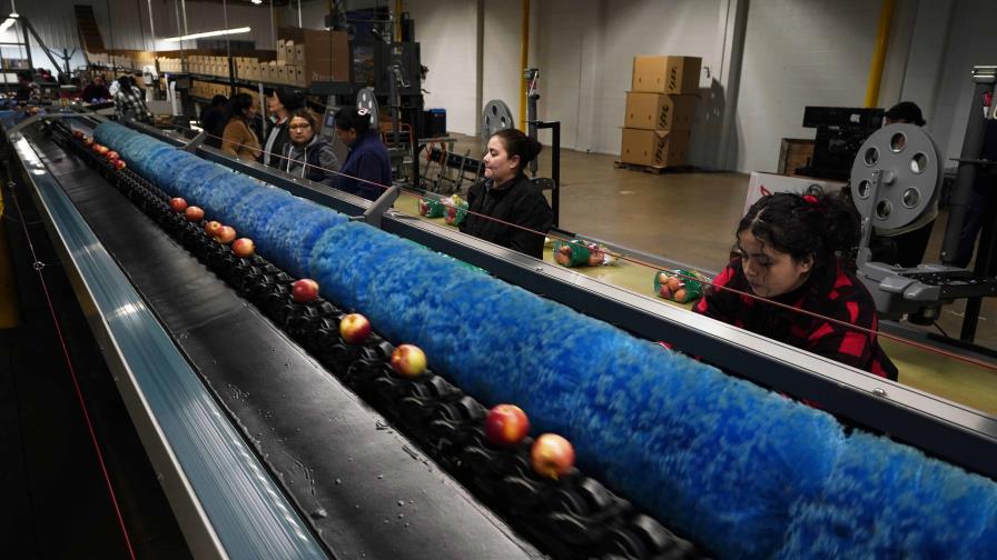 La ciencia al rescate contra el desperdicio de alimentos La ciencia al rescate contra el desperdicio de alimentos