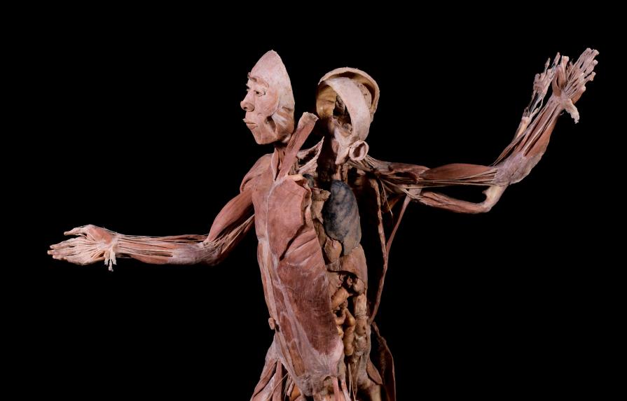 BODIES: Cuerpos humanos reales se extiende al 15 de enero 2023