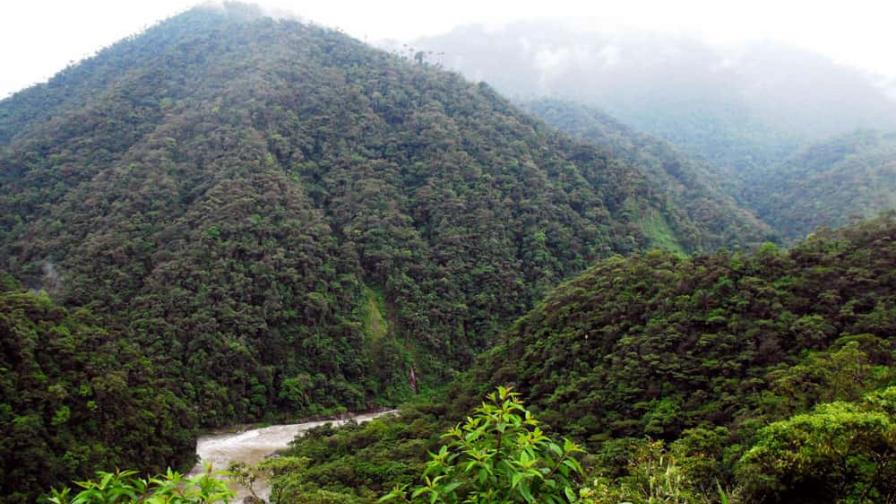Solicitan declarar área de conservación a corredor ecológico en Ecuador