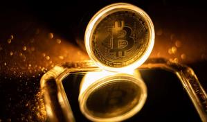 En los Países Bajos, los tulipanes crecen gracias al bitcóin