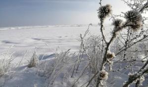 Las olas de frío y de calor elevan las muertes por problemas cardiovasculares
