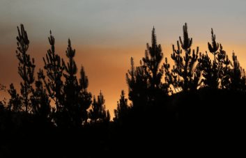 Chile mantiene alertas rojas en nueve comunas por incendios forestales