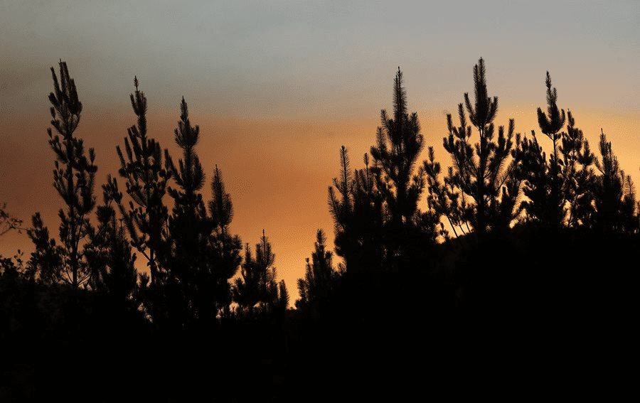 Chile mantiene alertas rojas en nueve comunas por incendios forestales